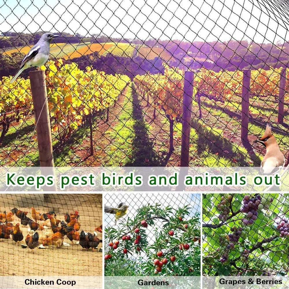 Filet Anti-oiseaux lourd, clôture et cultures de jardin, clôture de protection, maille Anti-oiseau, 
