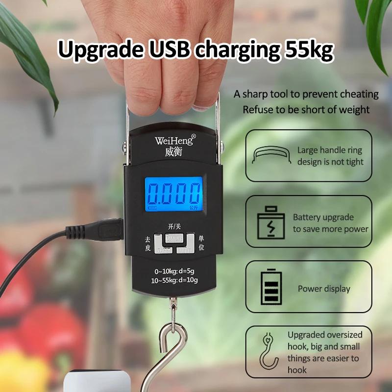 Balance numérique électronique avec chargeur USB 55kg/10g, crochet suspendu, pêche voyage, Double pr