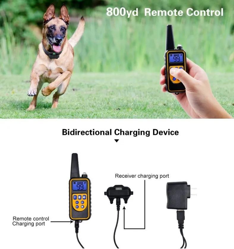 Collier de chien collier de formation pour chien électrique affichage LCD Rechargeable pour collier 