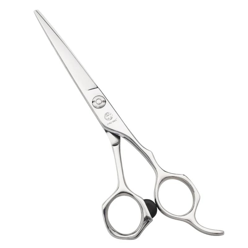 Ciseaux à cheveux professionnels en acier inoxydable VG10, ciseaux de soins capillaires pour main dr