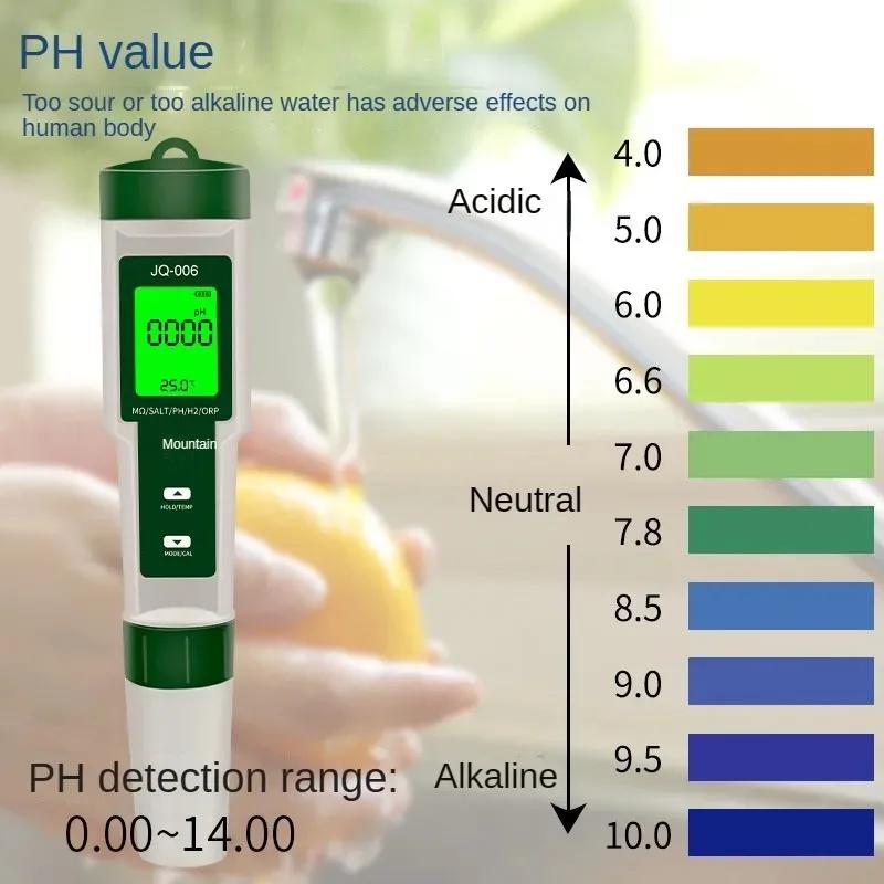 Moniteur de qualité de l'eau 10 en 1, testeur multifonction PH/EC/TDS/ORP/H2/Fertile/salinité/S.G/ré