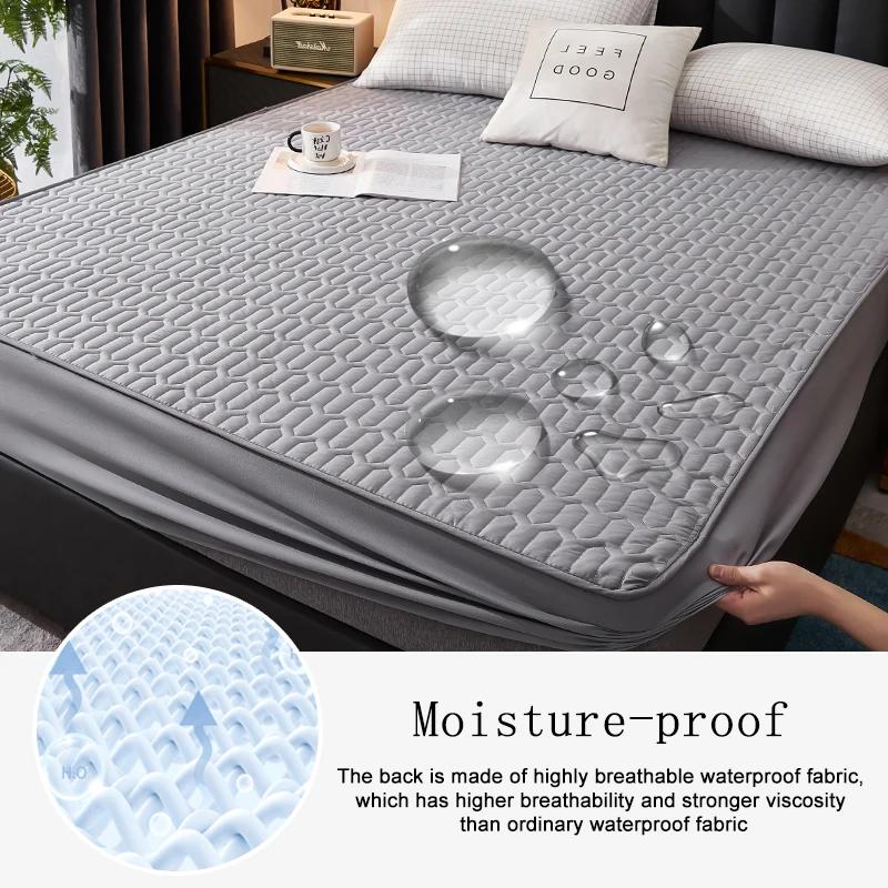Housse de matelas épaisse et imperméable, tapis matelassé en Latex, couvre-lit, drap-housse de prote