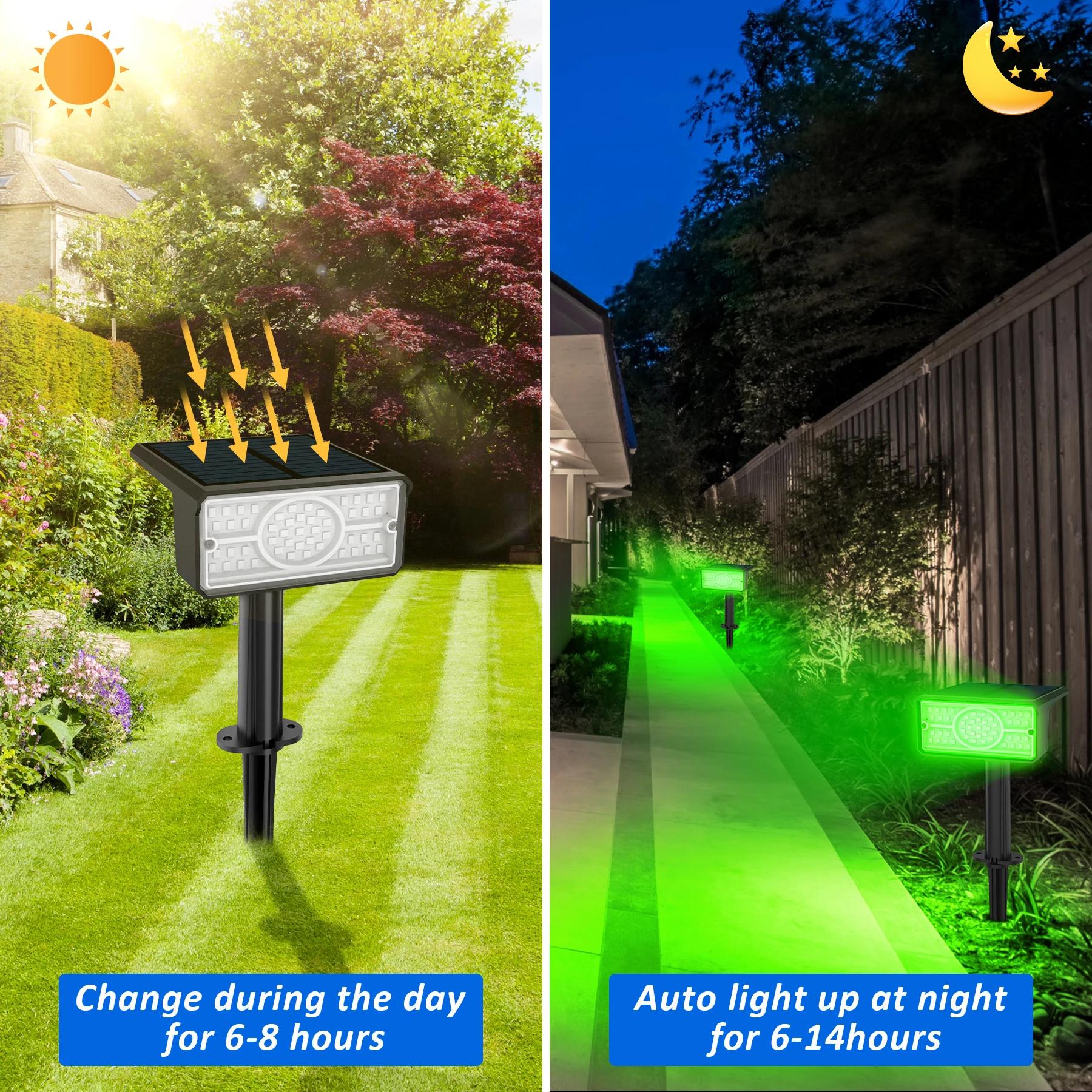 Applique murale solaire imperméable conforme à la norme IP65, luminaire d'extérieur, lumière verte/b