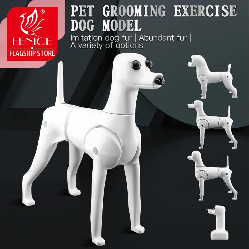 Fenice Simulation d'animaux de compagnie toilettage faux chien modèle pratique chien Standard squele
