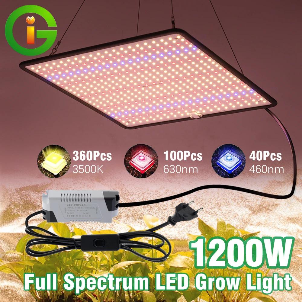 LED élèvent la lumière spectre complet Phyto lampe AC85-240V 40W pour la lumière de croissance des p
