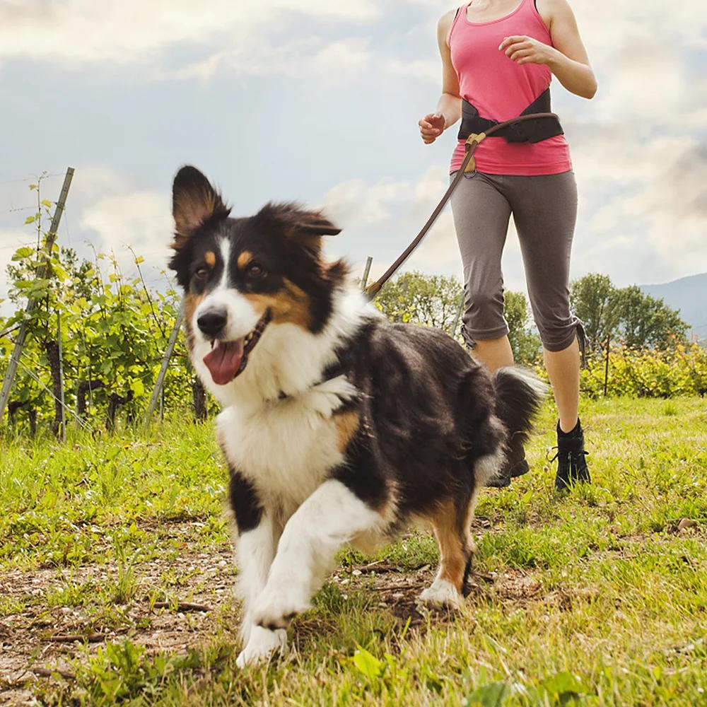 1.8M grande laisse de chien chaîne de taille Traction pour la course à pied réglage simplicité mains