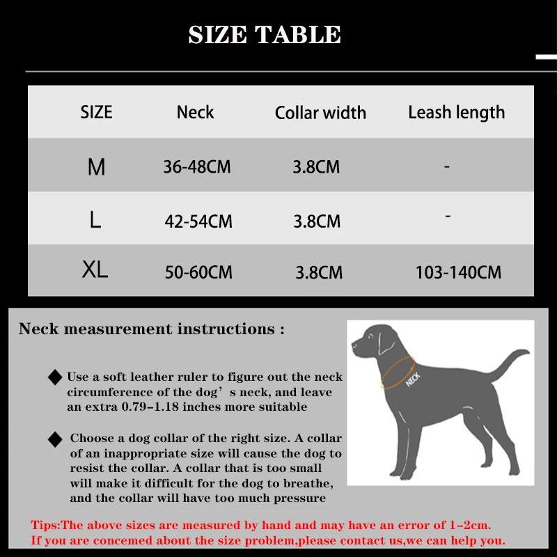 Ensemble de laisse de collier de chien de compagnie matériel en Nylon collier de chien Durable laiss