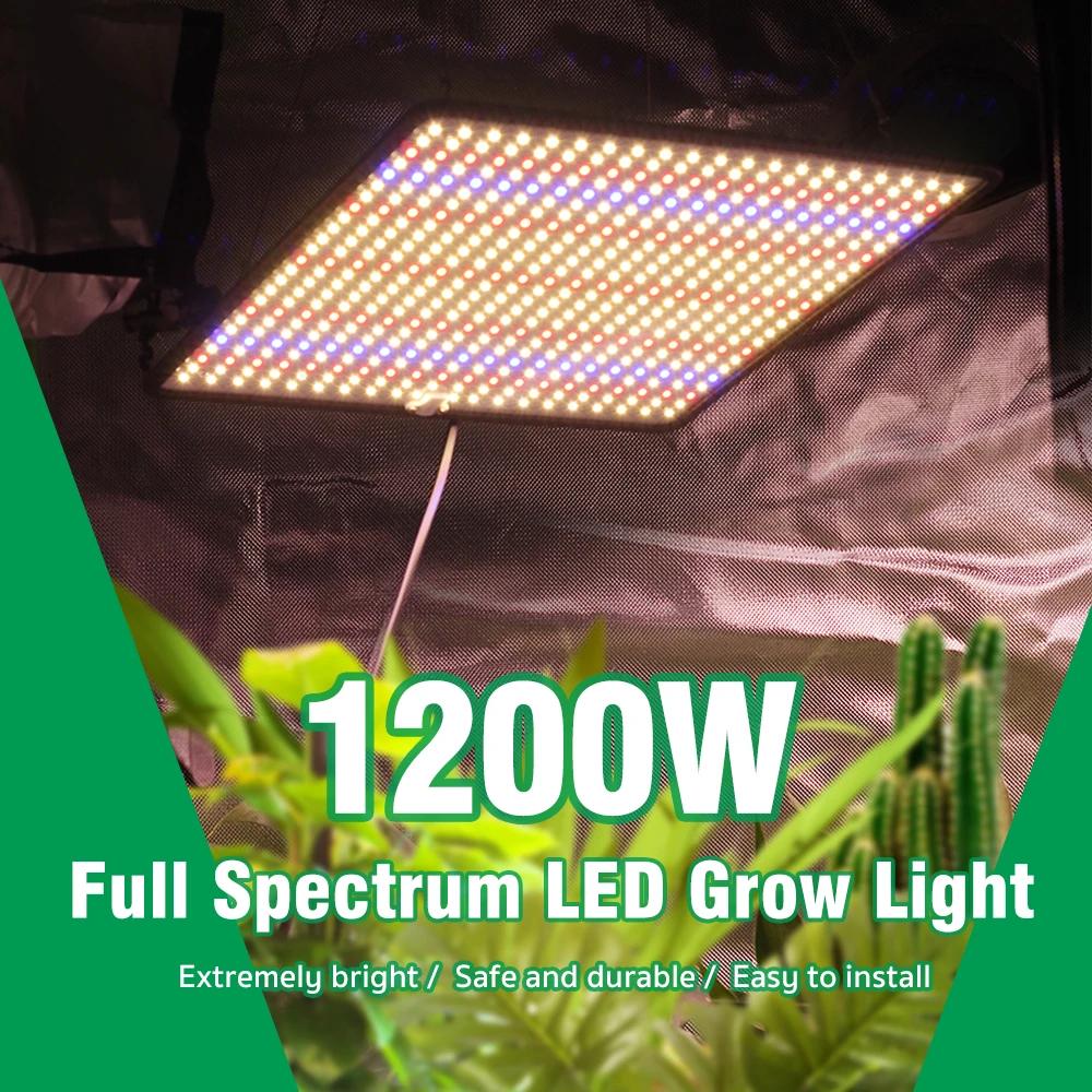 LED élèvent la lumière spectre complet Phyto lampe AC85-240V 40W pour la lumière de croissance des p