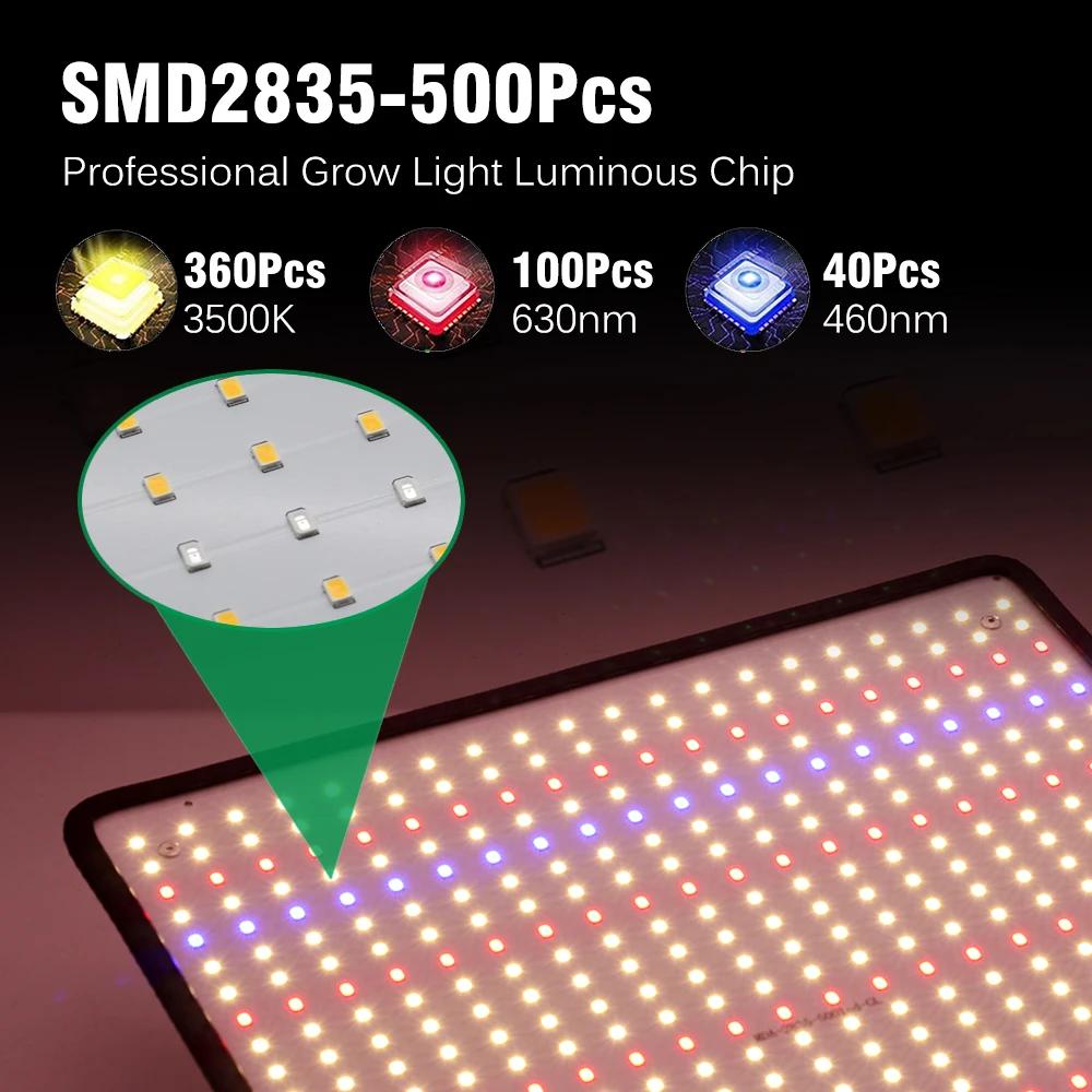 LED élèvent la lumière spectre complet Phyto lampe AC85-240V 40W pour la lumière de croissance des p