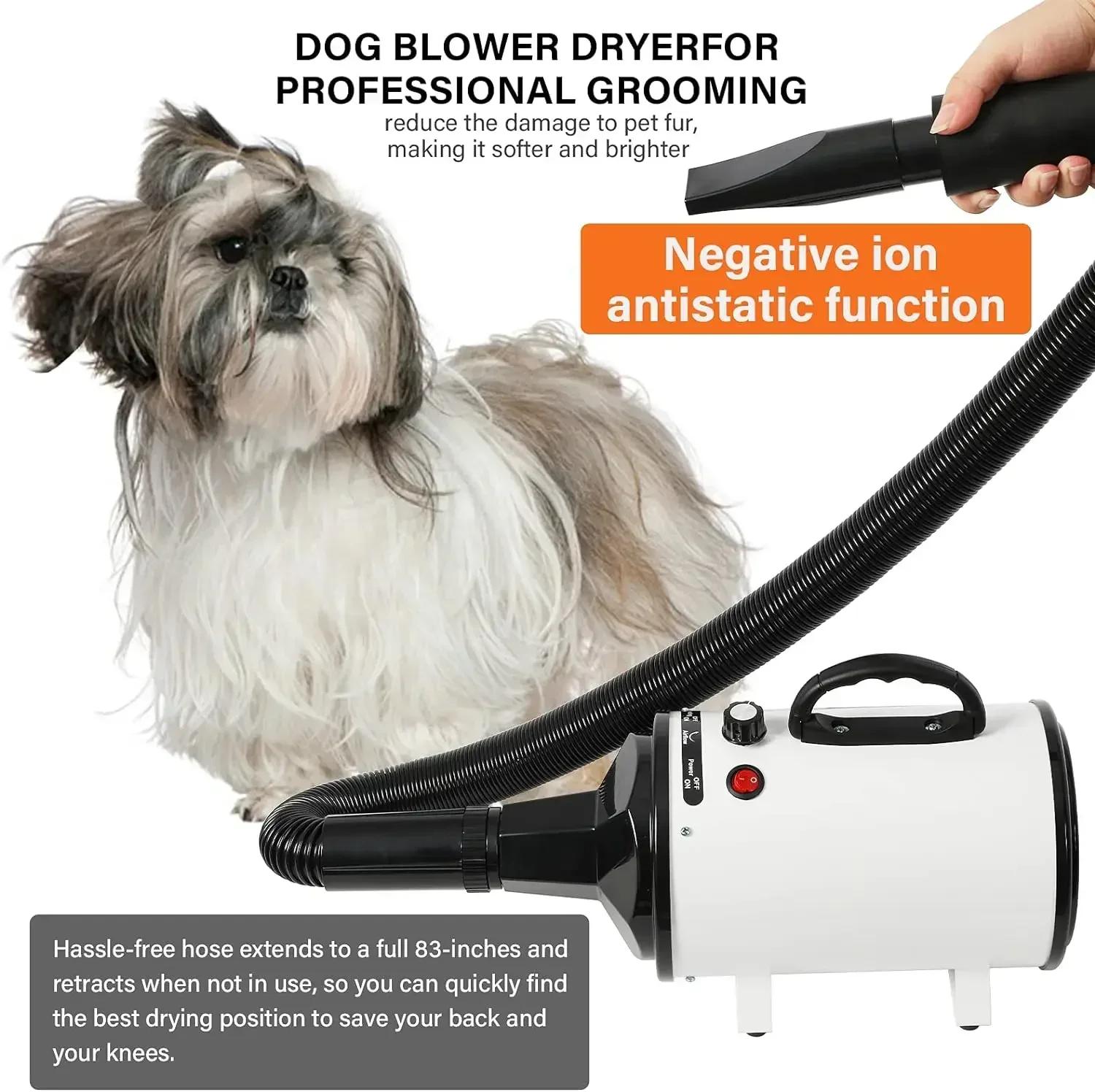 Sèche-cheveux rapide et silencieux pour animaux de compagnie, souffleur de toilettage pour chiens, v