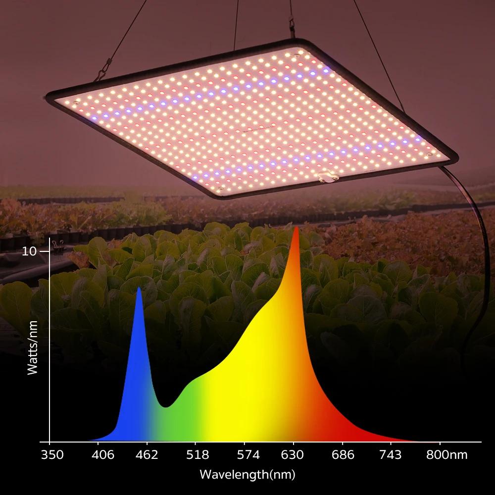 LED élèvent la lumière spectre complet Phyto lampe AC85-240V 40W pour la lumière de croissance des p