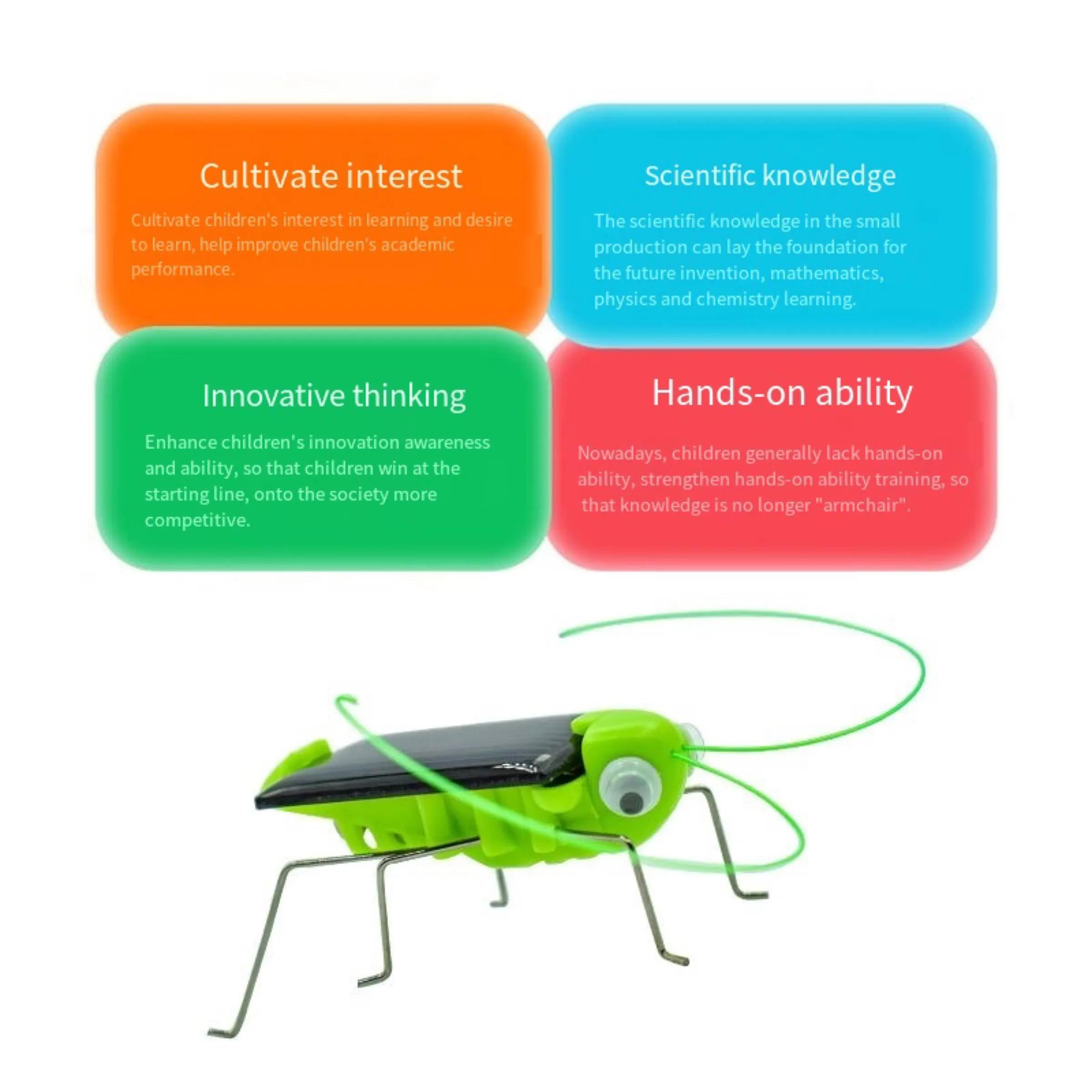 Jouet sauterelle solaire pour enfants, puzzle, cadeau sélectionné, simulation d'insecte, éducation s