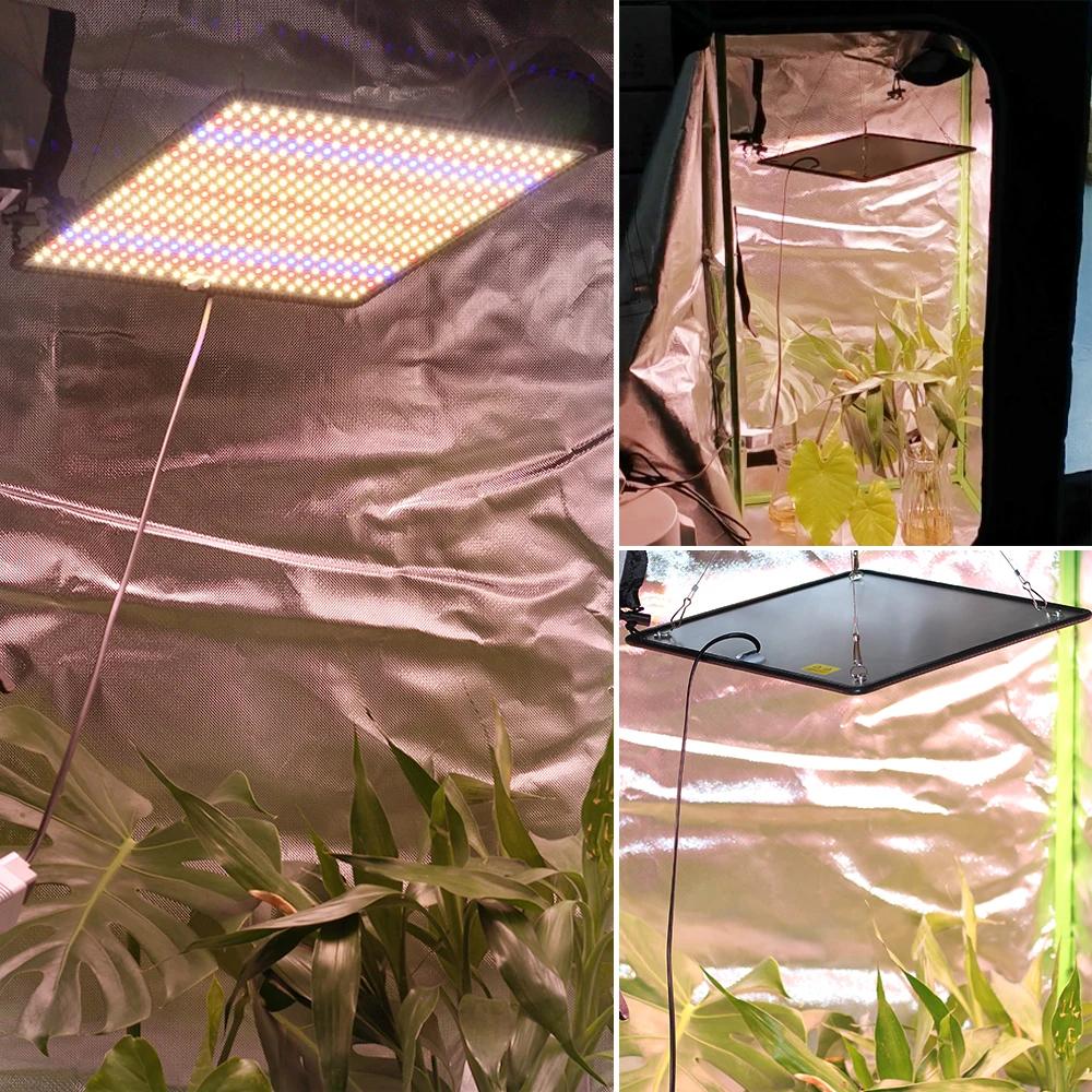 LED élèvent la lumière spectre complet Phyto lampe AC85-240V 40W pour la lumière de croissance des p