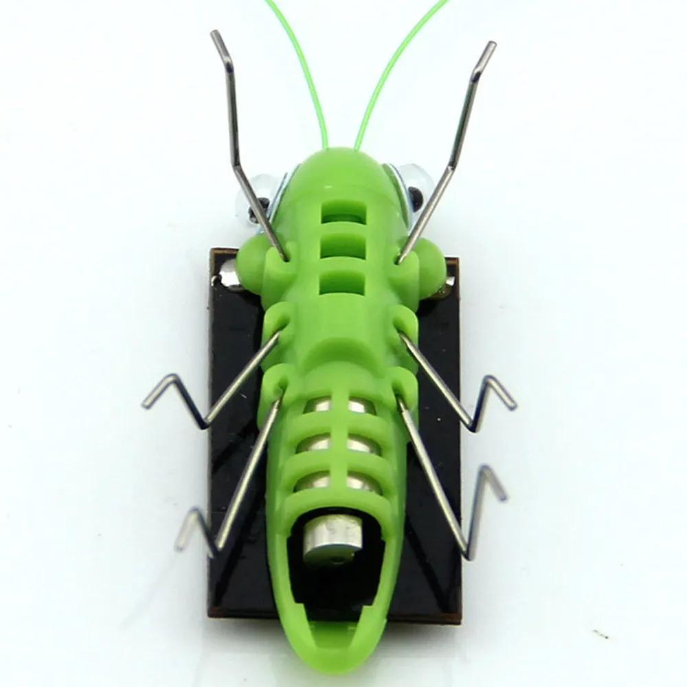 Jouet sauterelle solaire pour enfants, puzzle, cadeau sélectionné, simulation d'insecte, éducation s