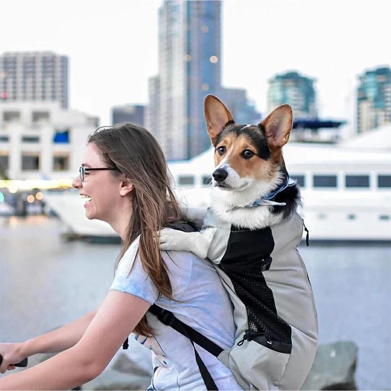 Sac à dos en nylon respirant pour animaux de compagnie, sac à dos Electrolux pour petits et moyens c