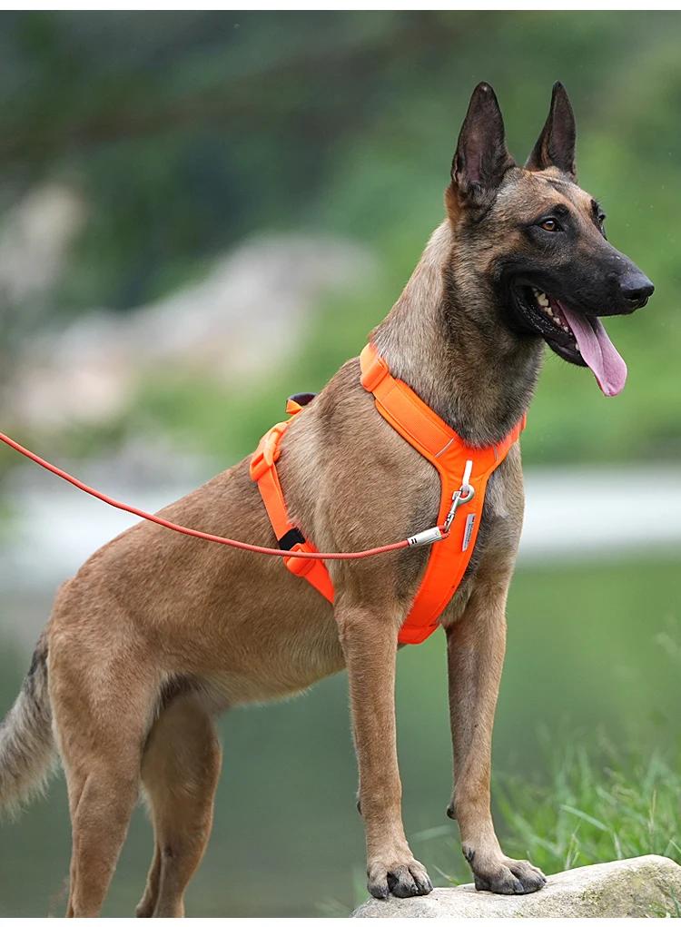Harnais réfléchissant pour chien