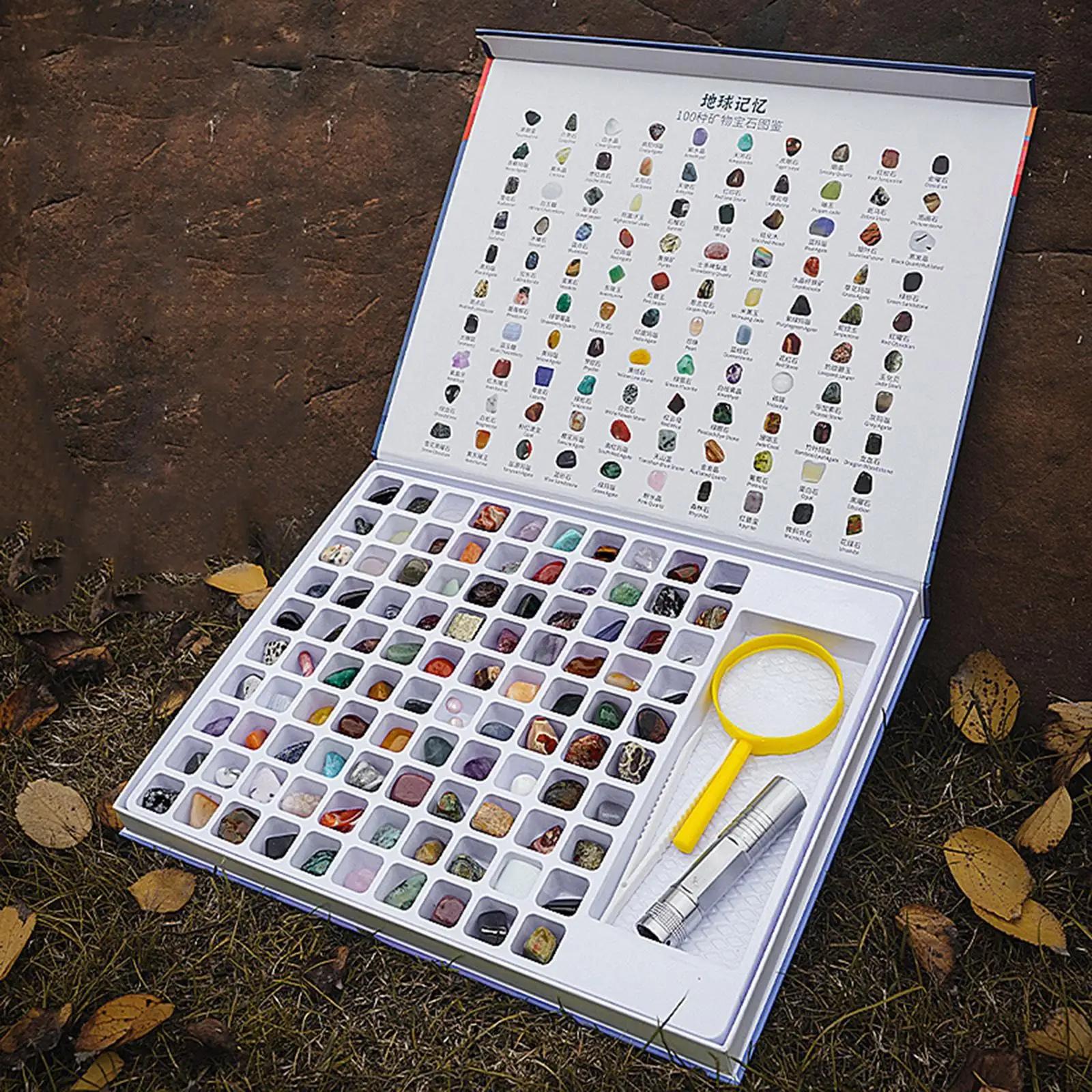 Livre de pierres précieuses naturelles pour enfants, collection de pierres précieuses, kit de géolog