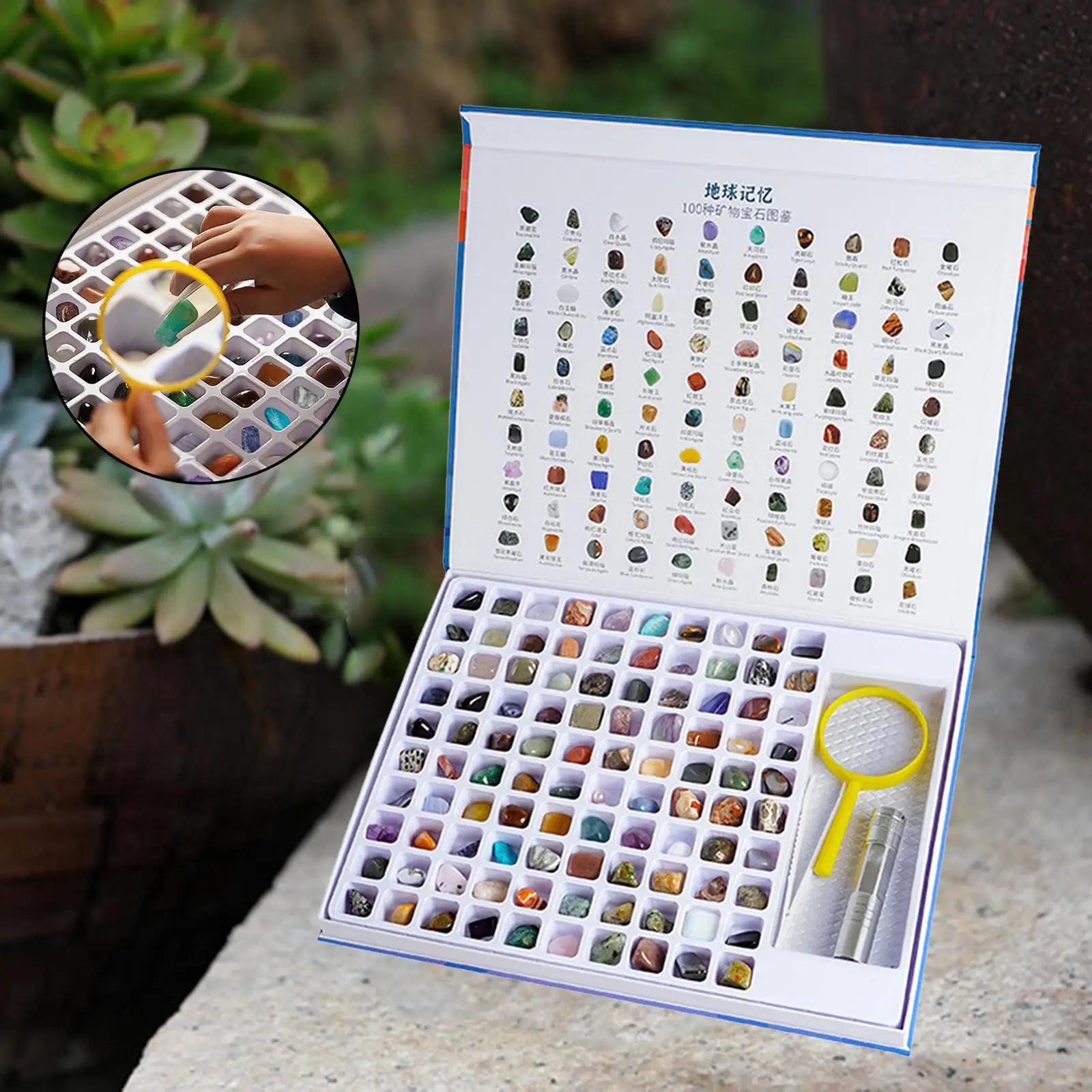 Livre de pierres précieuses naturelles pour enfants, collection de pierres précieuses, kit de géolog