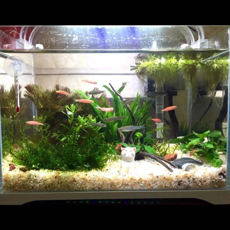 500g cristal naturel sable fond d'aquarium sable aménagement paysager pierre décorative Aquarium aig