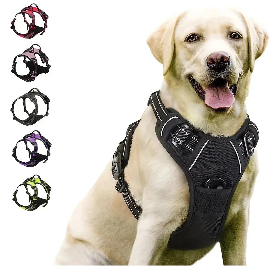 Colliers pour chiens, harnais, grands gilets, laisse, boutique d'animaux, tout pour chiens, accessoi