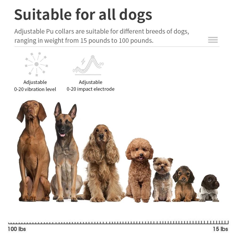Collier Anti-aboiement automatique pour chien, colliers d'entraînement rechargeables par USB, sécuri