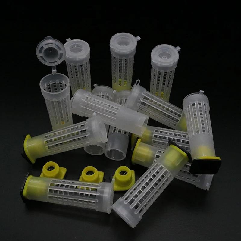 50 pièces Nicot abeille cheveux rouleau reine Cages en plastique protection scellé cellule couvertur