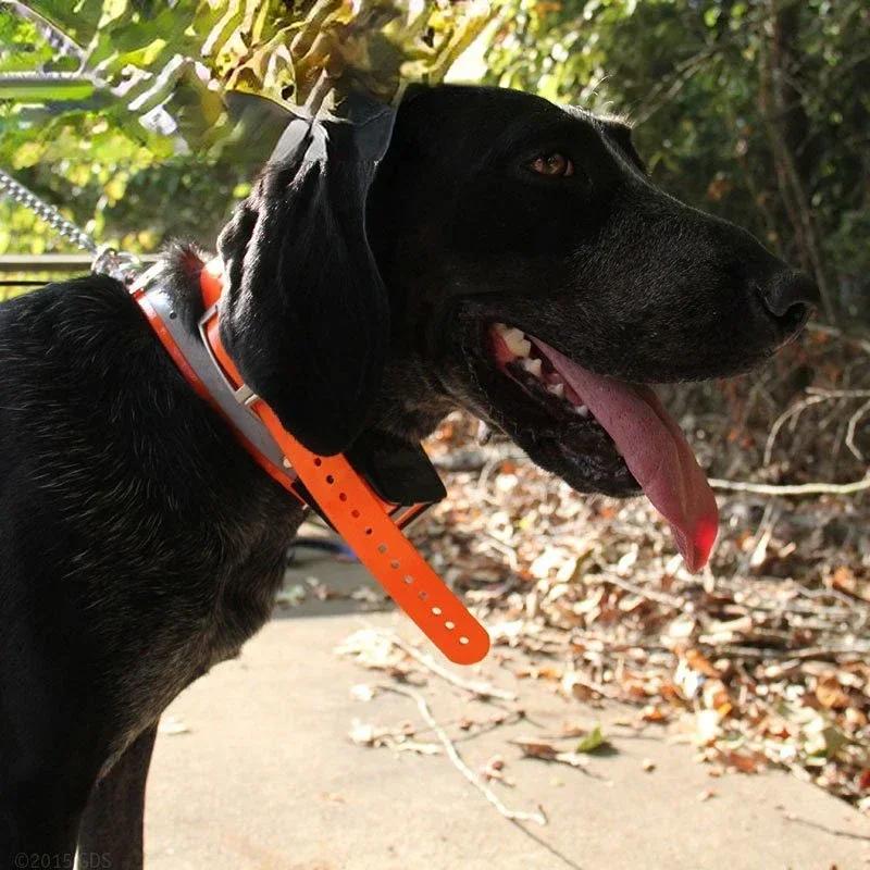 Équipement pour Localisateur de Chien 430/50/320, Traceur de html GPS T5/T5 Mini Collier