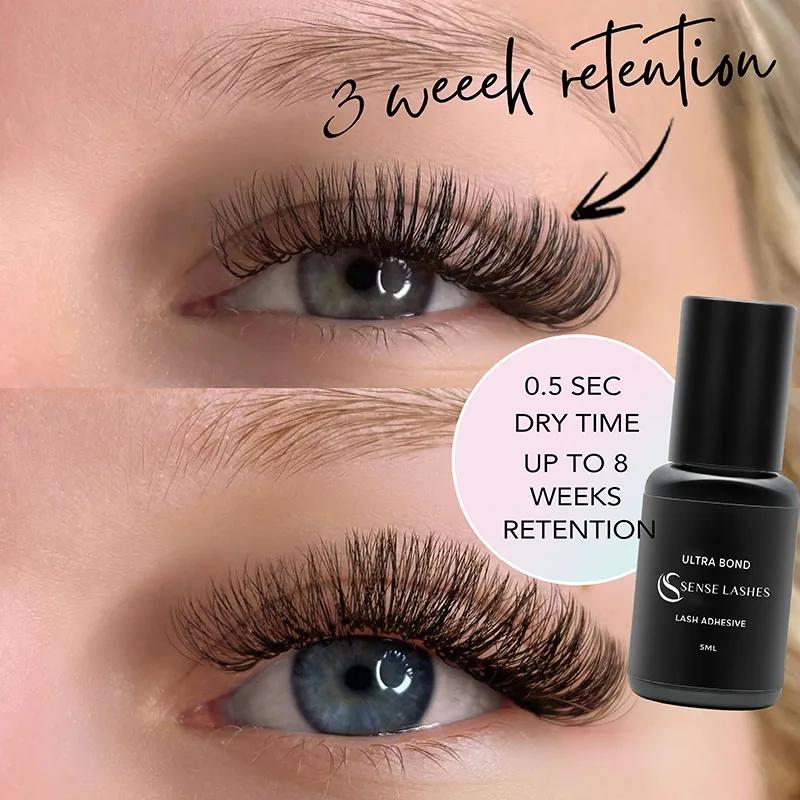 SENSE LASHES 10 bouteilles de colle à cils 5ml adhésif pour cils pegamento de pestañas adhésif exten