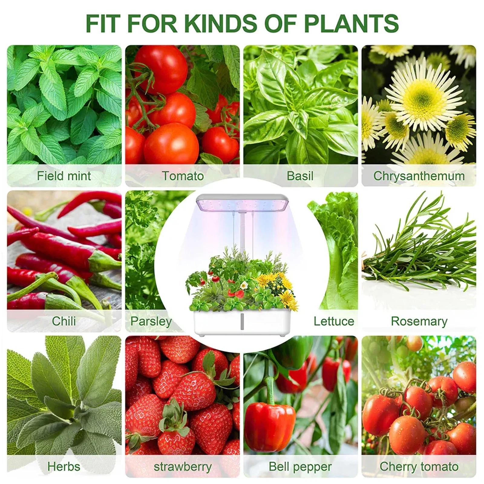 Tuya WiFi plante système hydroponique croissance lumière LED sans sol Machine de plantation intellig