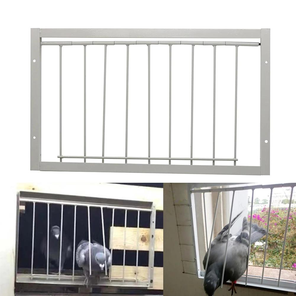Piège à queue d'aronde en acier inoxydable, 1 pièce, porte de Pigeon, cadre métallique, fournitures
