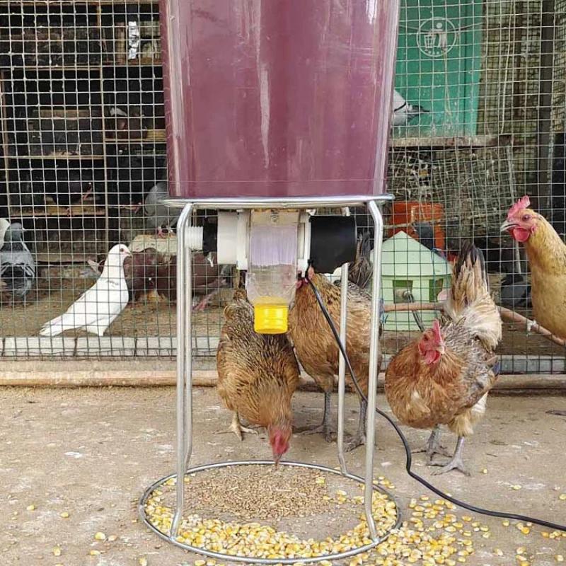 Mangeoire automatique pour poulets, support pour pigeons, canards, mangeoire pour pigeons, synchroni