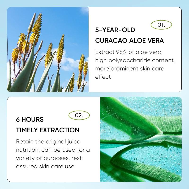 24 pièces SADOER Aloe Vera baume à lèvres hydratant Anti fissuration hydratant nourrissant Anti ride