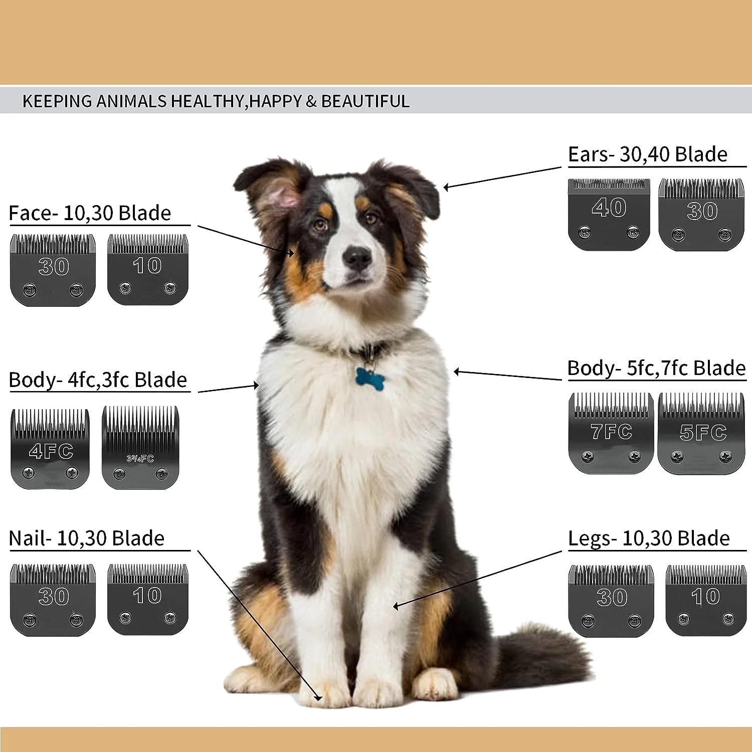 Tondeuse de toilettage noire détachable pour chien, ensemble de lames en acier inoxydable, Compatibl