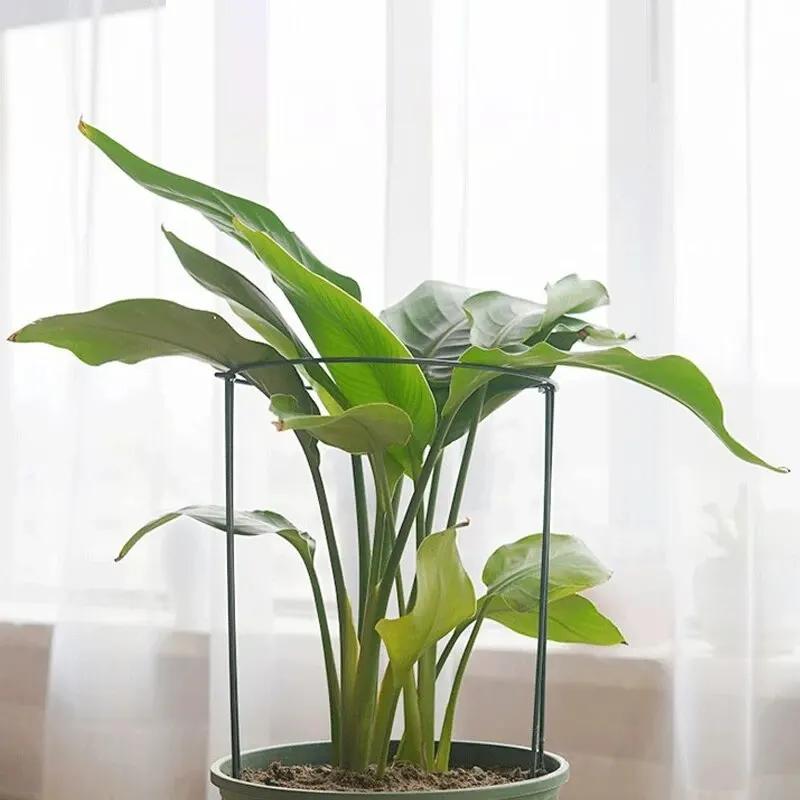 Piquets de Support pour plantes hautes, 6 pièces, Cage semi-ronde en métal pour plantes de jardin et