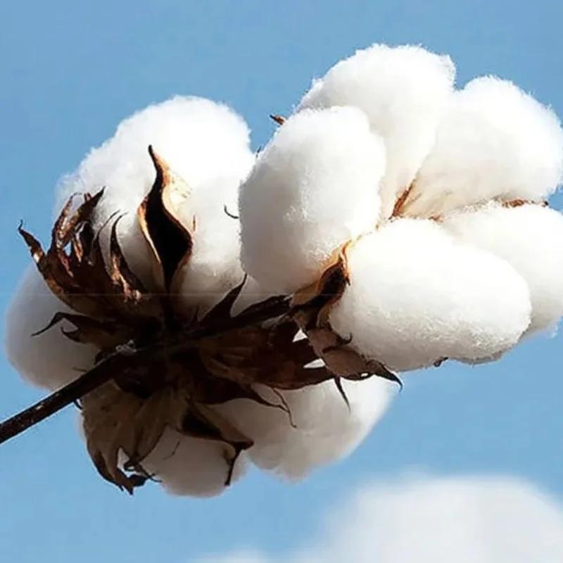 Vente en gros Nouveauté 2026 T-shirts à manches courtes pour hommes, T-shirts amples de luxe en coto