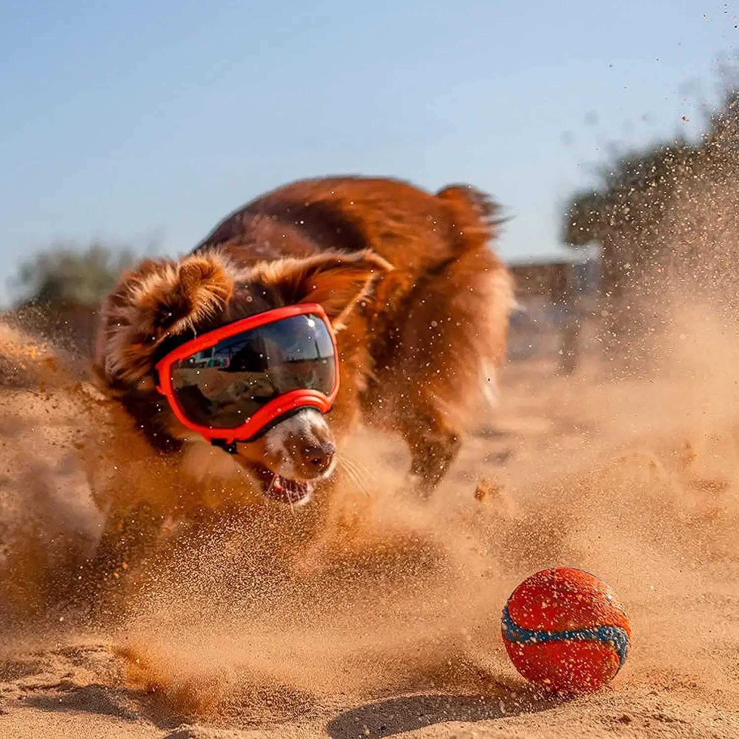 ATUBAN lunettes pour chien lunettes pour animaux de compagnie Anti UV forte résistance aux chocs rég