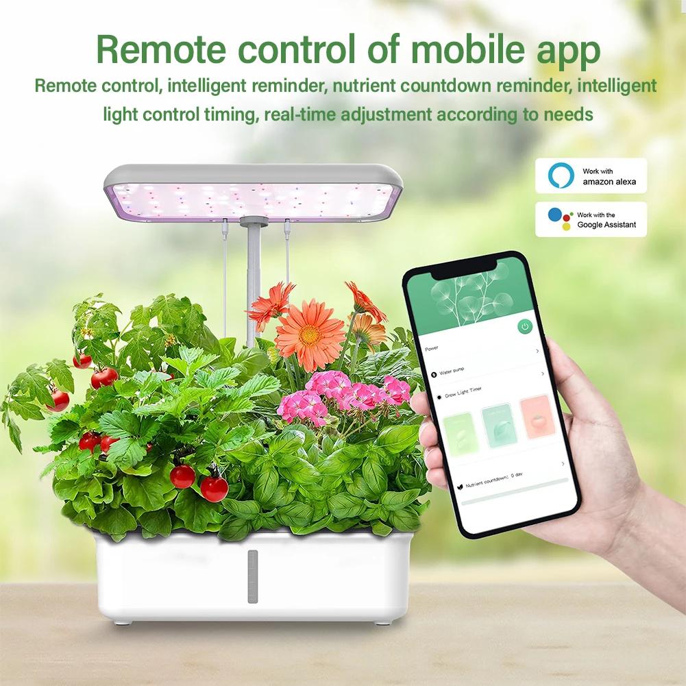 Tuya WiFi plante système hydroponique croissance lumière LED sans sol Machine de plantation intellig