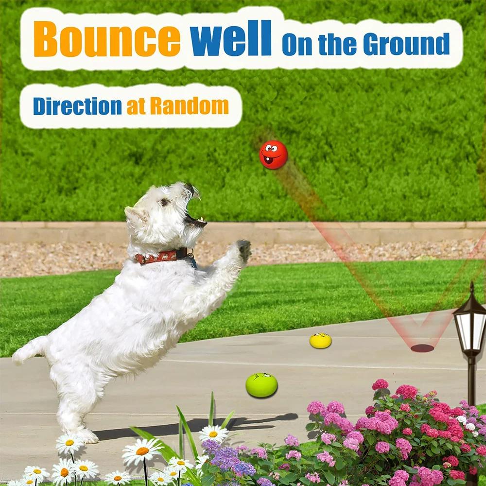 Jouets grinçants en Latex pour chiens, 6 pièces, jouets en caoutchouc doux pour chiens, jouet à mâch