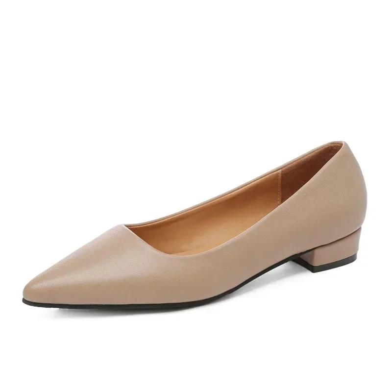 Chaussures pointues à bouche peu profonde pour femmes, chaussures simples et décontractées à talons