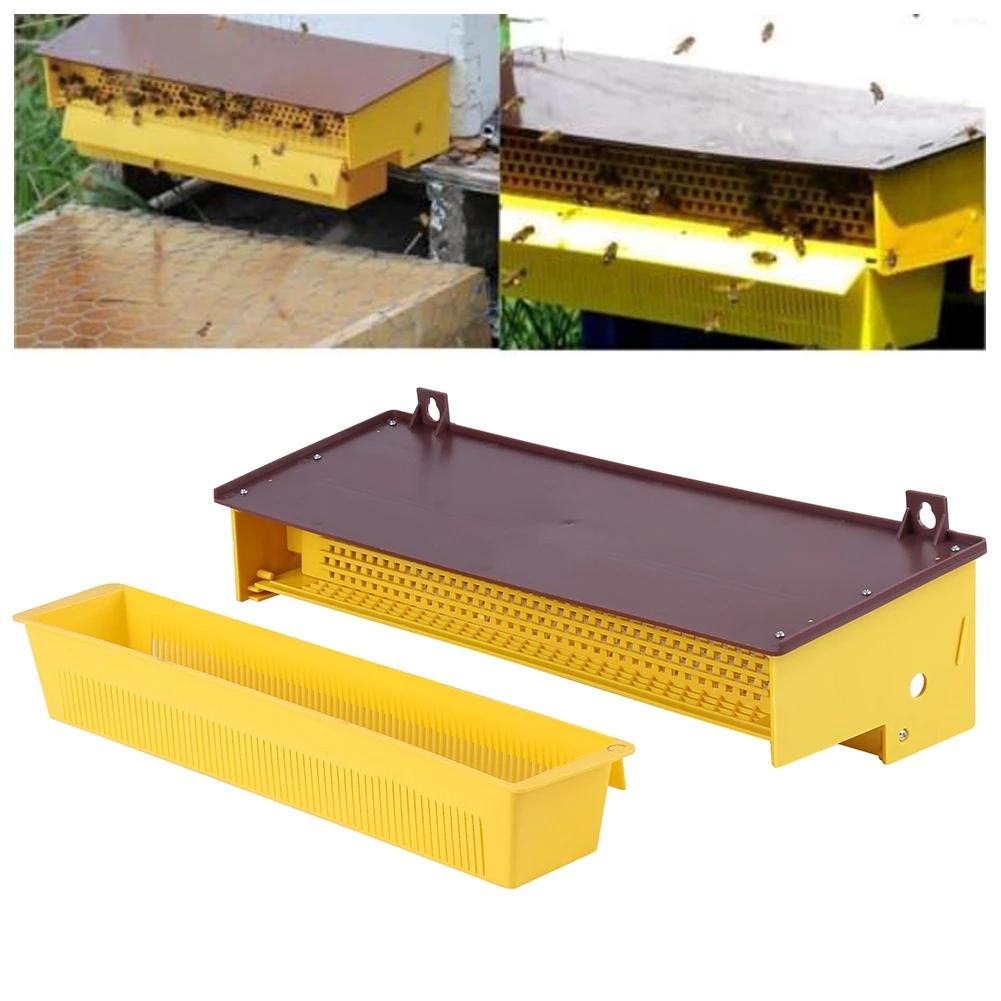 PerfecYellow-Piège en Plastique Ventilé par Escalade, Outil d'Apiculture