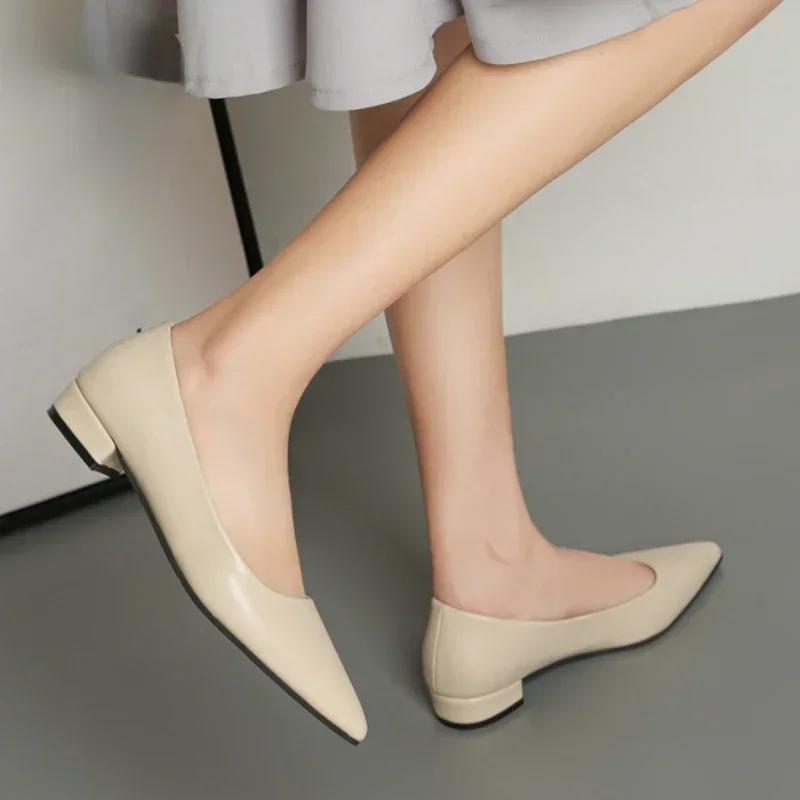 Chaussures pointues à bouche peu profonde pour femmes, chaussures simples et décontractées à talons