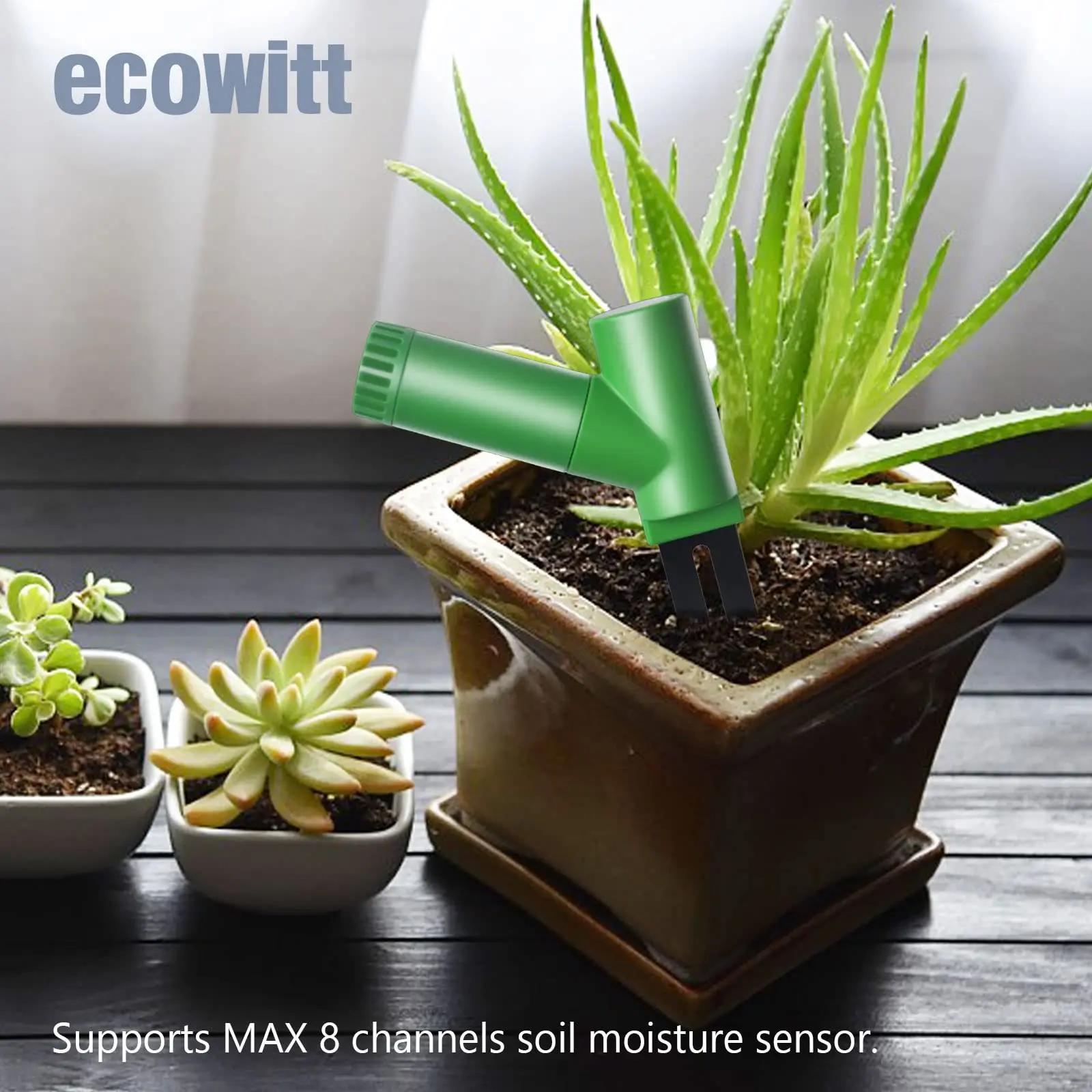 ECOWITT WH51 Testeur d'humidité du sol, testeur de jardin à 16 canaux pour surveiller l'irrigation d