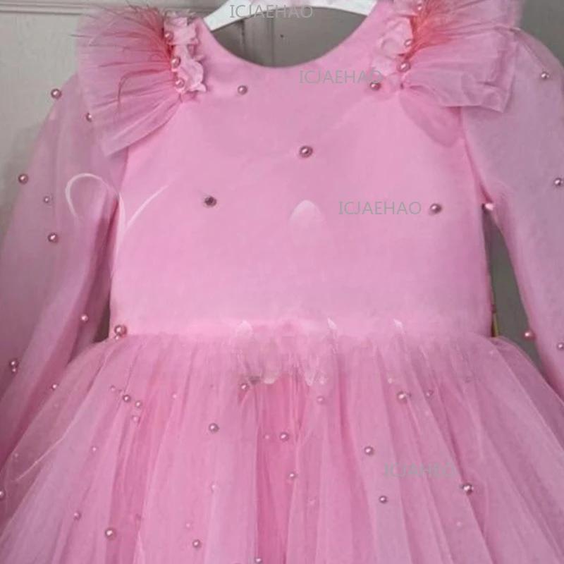 Robe de Princesse pour Filles 2026, Mignonne et Élégante, à Manches Longues en Tulle, Vêtement pour
