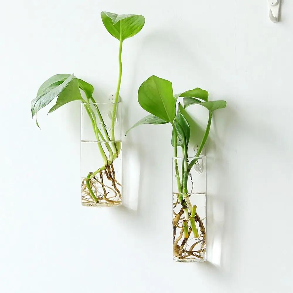 Plantes hydroponiques murales de forme irrégulière, artisanat en verre, vase hydroponique, récipient