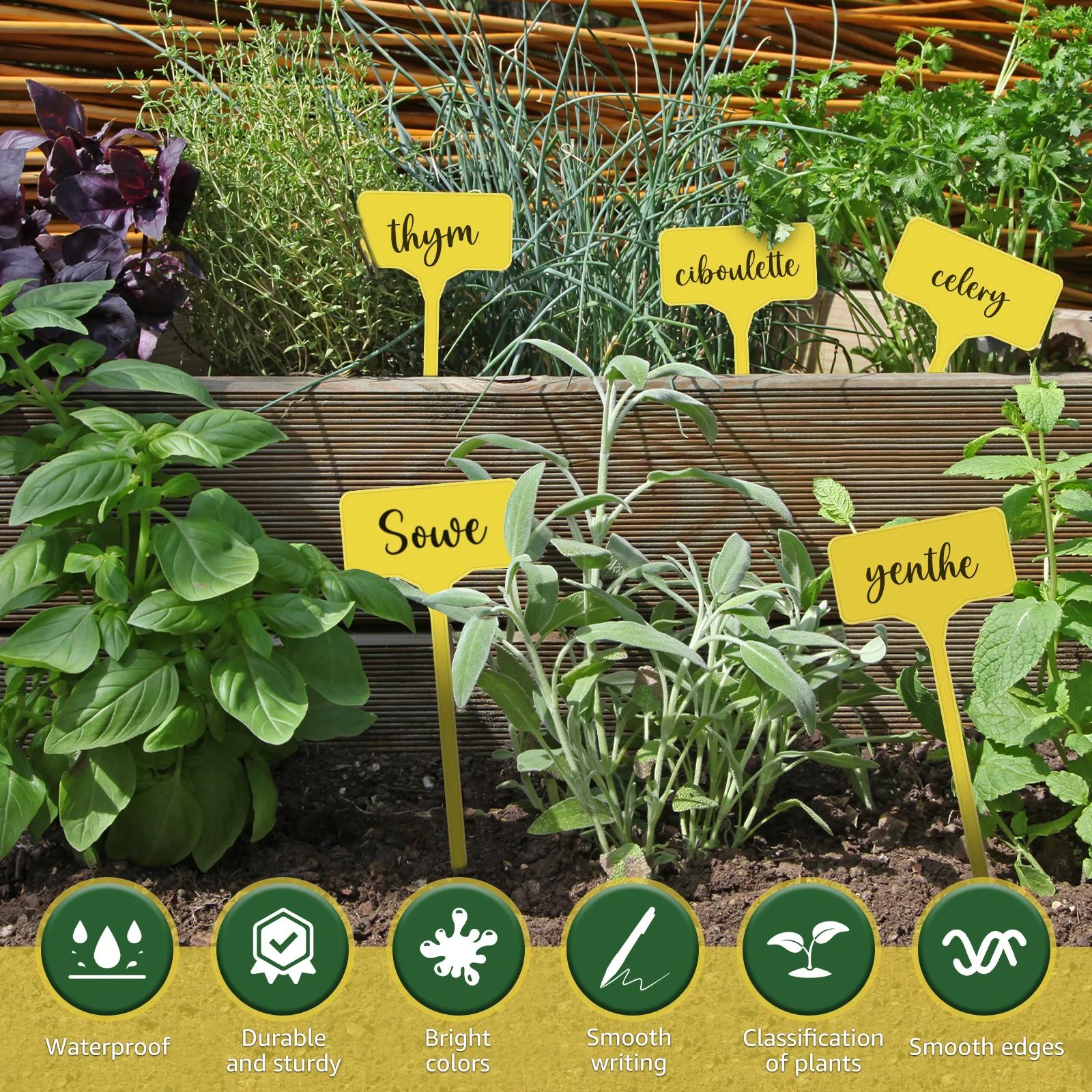 Étiquettes de plantes de jardin en plastique, étanches, de Type T, réutilisables, avec nom de plante