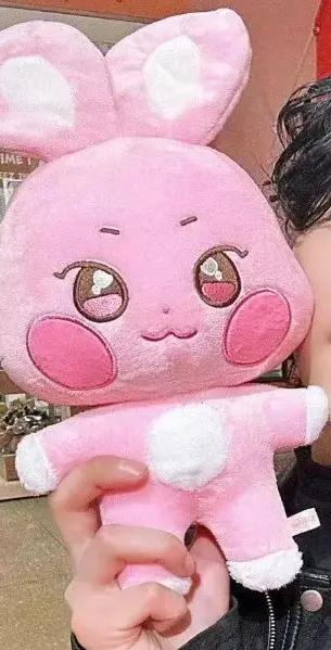 Animaux en peluche Kawaii Kpop Aniteez, jouet en peluche, décoration de chambre, 14-joong, Seonghwa,