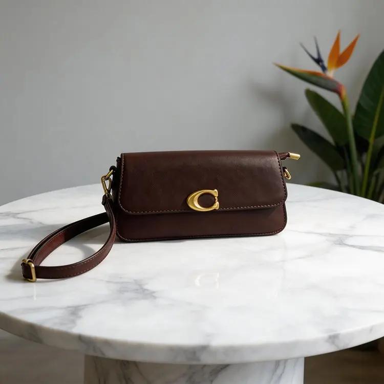 Sac à main de luxe pour femme avec rabat, nouvelle collection 2026, boucle métallique, détails en da