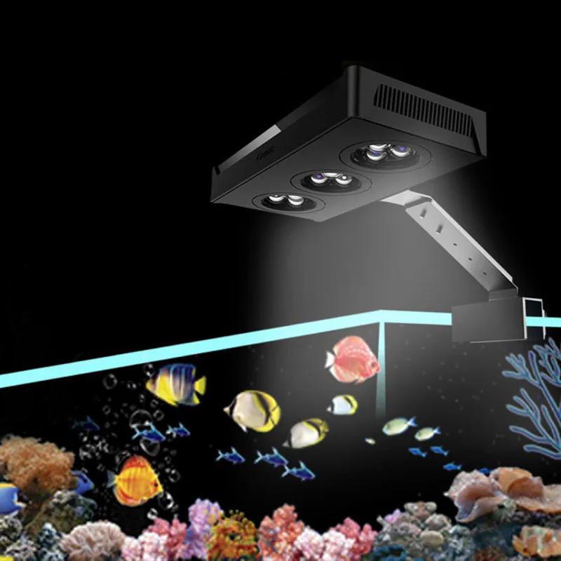 Spectra Character029-Lampe d'Aquarium d'Eau Salée, Éclairage avec Commande Tactile, 30W, pour Sites,