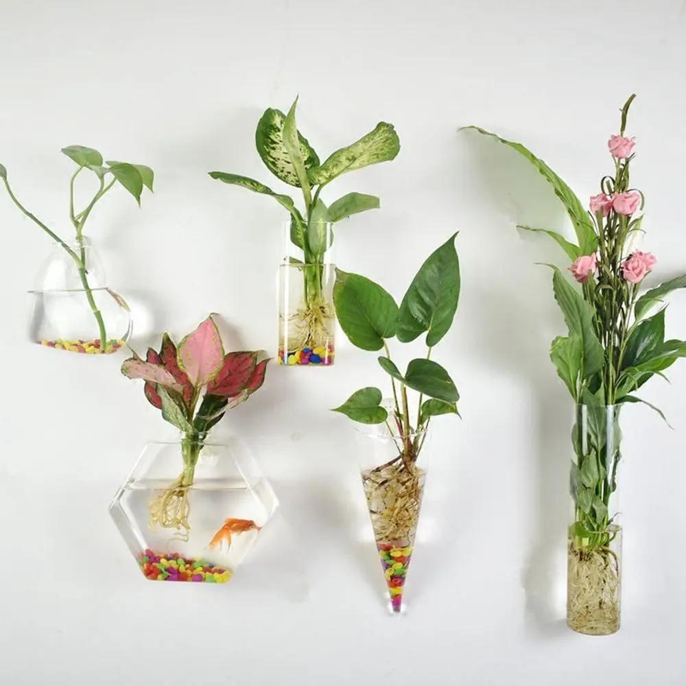 Plantes hydroponiques murales de forme irrégulière, artisanat en verre, vase hydroponique, récipient