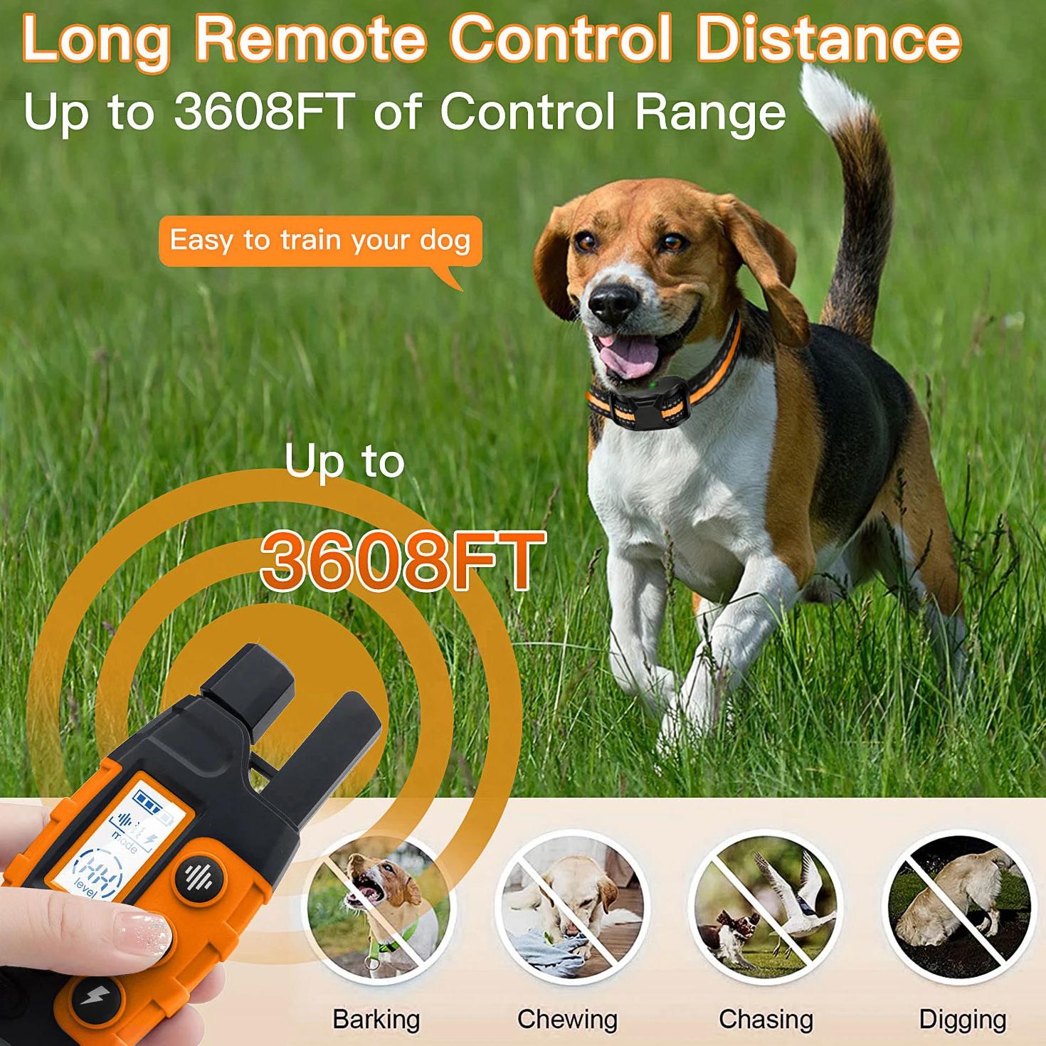Collier de dressage électrique pour chien, 3300 pieds, télécommande, étanche, comportement pour anim